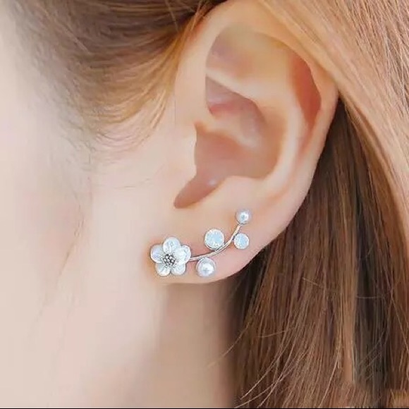 Jewelry - Silver Earrings